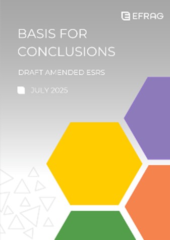 „Basis for conclusions“