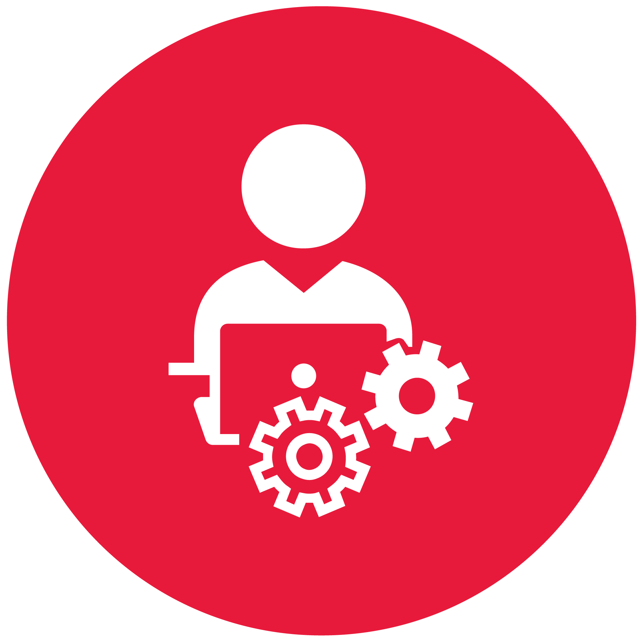 •	Projektmanagement und Implementierung
