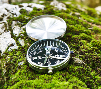 Fortbildungsreihe - Kompass für die Nachhaltigkeitsberichterstattung 
