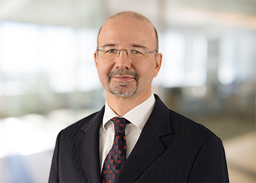 Richard Wellmann, Rechtsanwalt, Steuerberater, Partner, Internationales Steuerrecht, Leiter Russia Desk