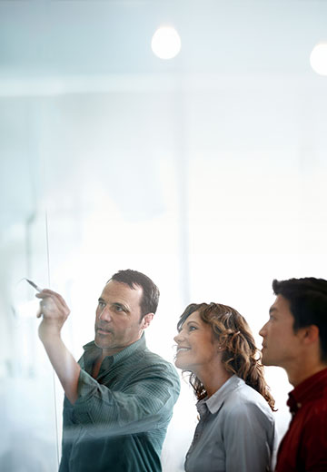 Business Services Outsourcing (BSO) 